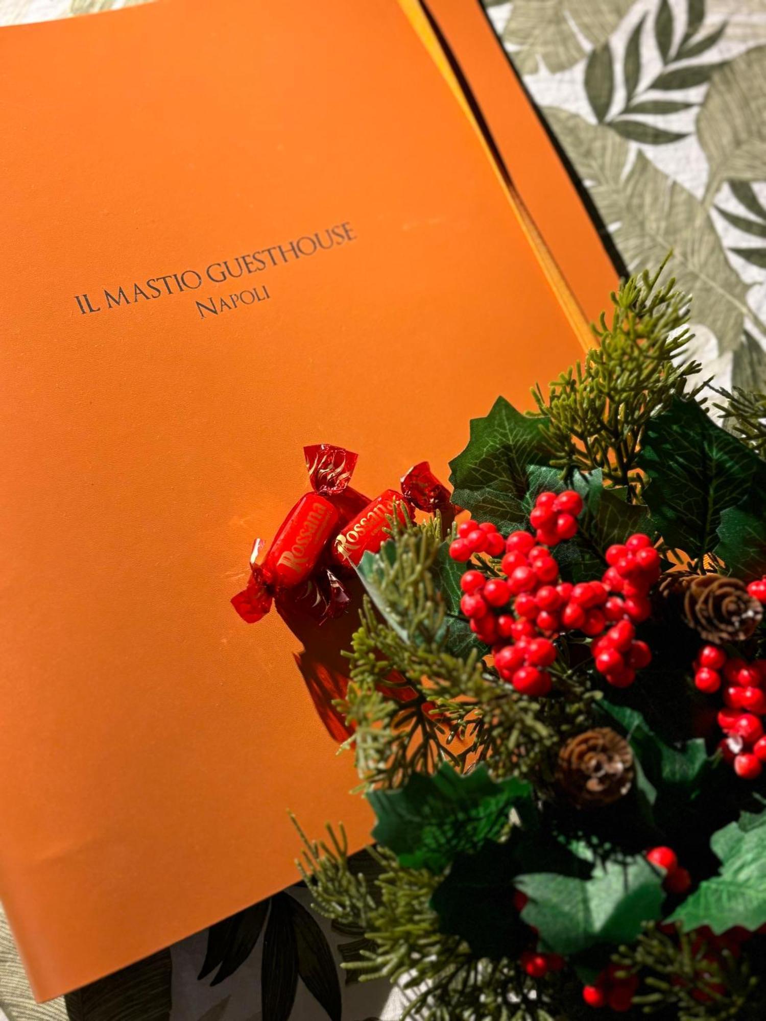 Guest house Il Mastio
